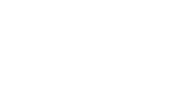 ANYSA